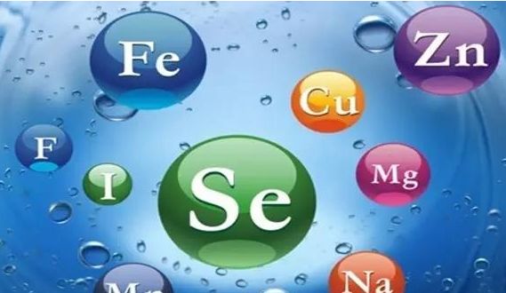 吃什么梦补硒(吃补硒片的副作用)-硒宝网