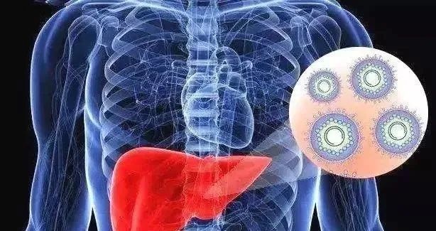 乙肝患者补硒(补患者乙肝硒多少钱)-硒宝网