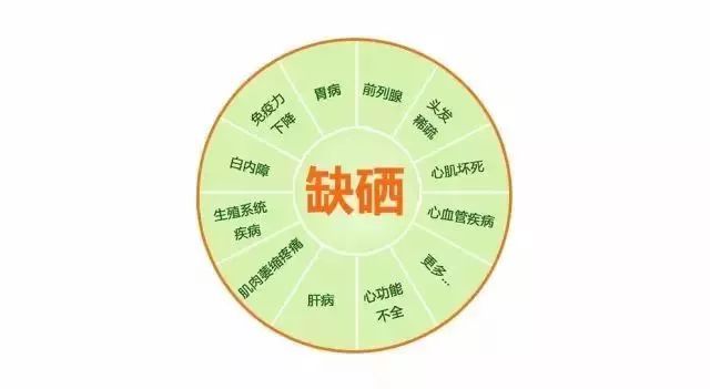 补硒用的品牌(最有效和安全的补硒产品)-硒宝网