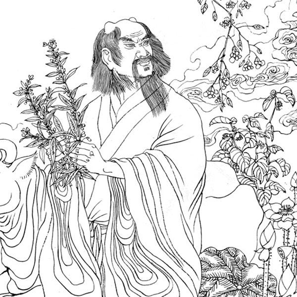 补硒药用价值（补硒药的作用）-硒宝网