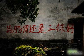 补硒社会痛点（普及补硒知识）-硒宝网