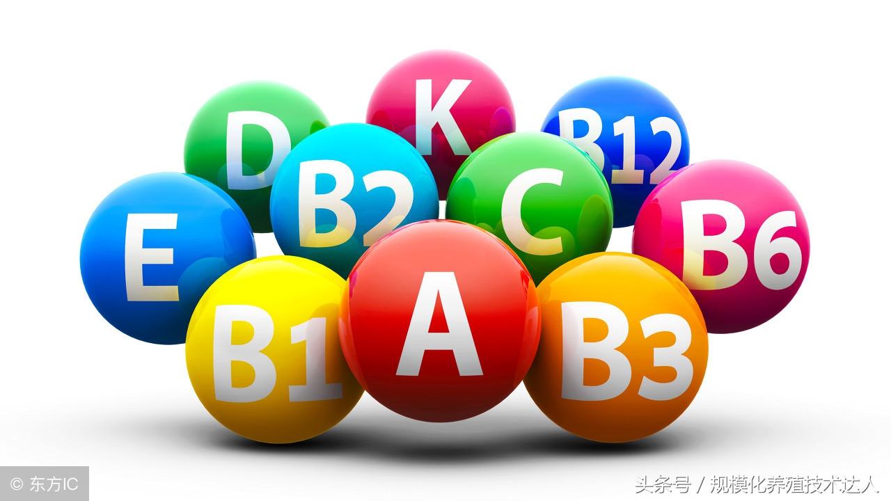 吃补硒拉肚子（拉肚子吃补锌的是什么意思）-硒宝网