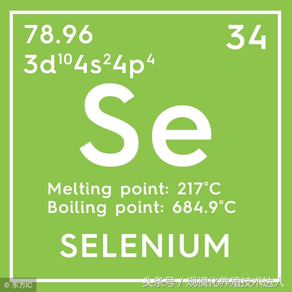 吃补硒拉肚子（拉肚子吃补锌的是什么意思）-硒宝网