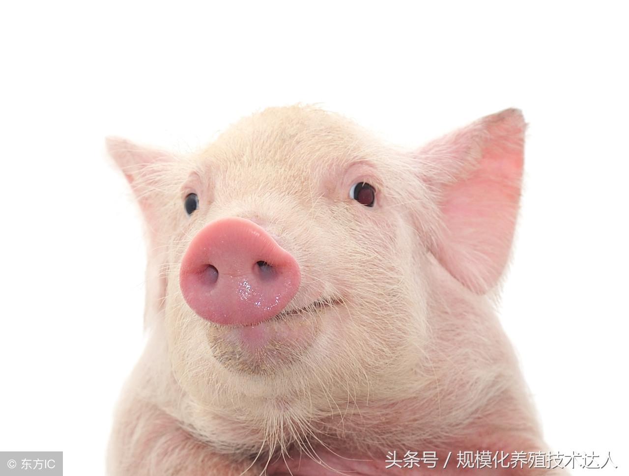 吃补硒拉肚子（拉肚子吃补锌的是什么意思）-硒宝网