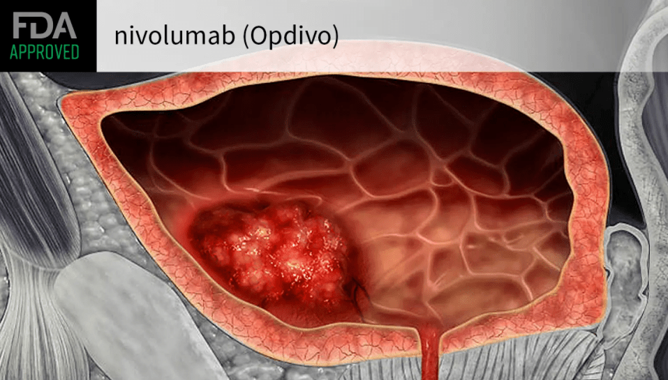 什么是硒补剂（硒补充剂）-硒宝网