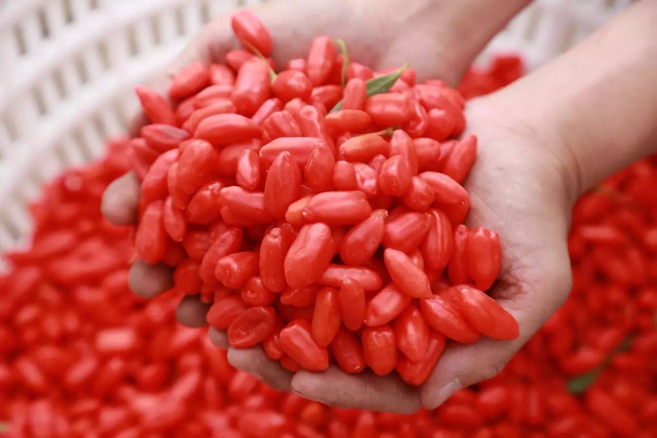 补硒过后头晕（头晕过后补硒好吗）-硒宝网