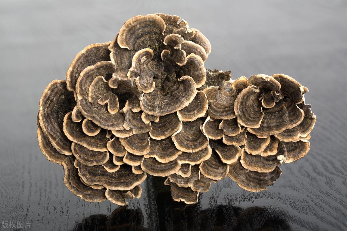 补硒过后头晕（头晕过后补硒好吗）-硒宝网