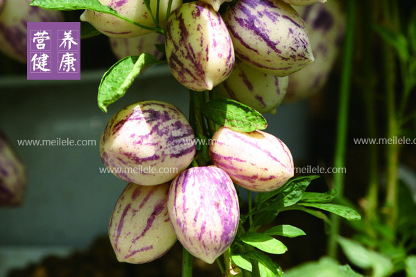 补硒药用价值（补硒药品的价格查询）-硒宝网