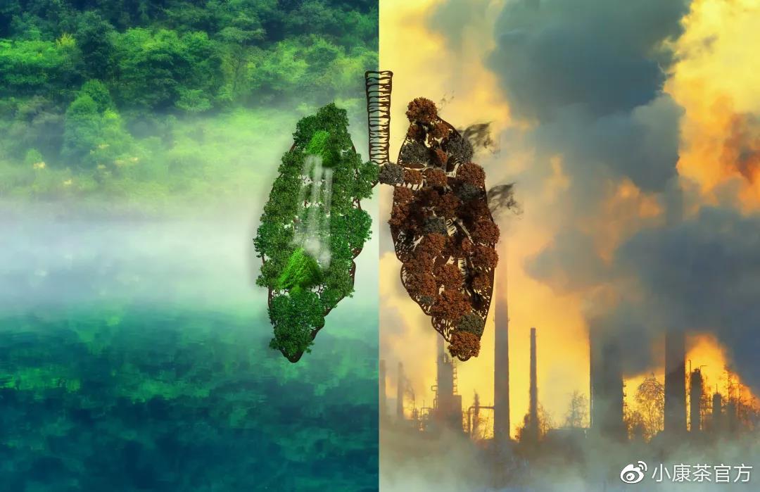 肺癌要补硒吗(肺癌要补充硒元素吗)-硒宝网