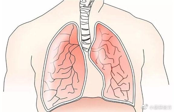 肺癌要补硒吗(肺癌要补充硒元素吗)-硒宝网