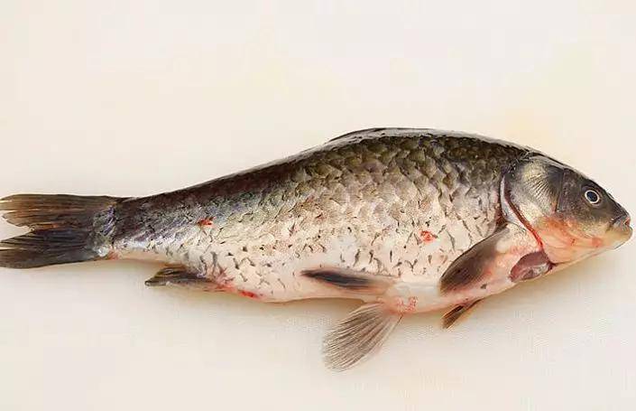 鱼需要补硒吗(硒对鱼的作用)-硒宝网