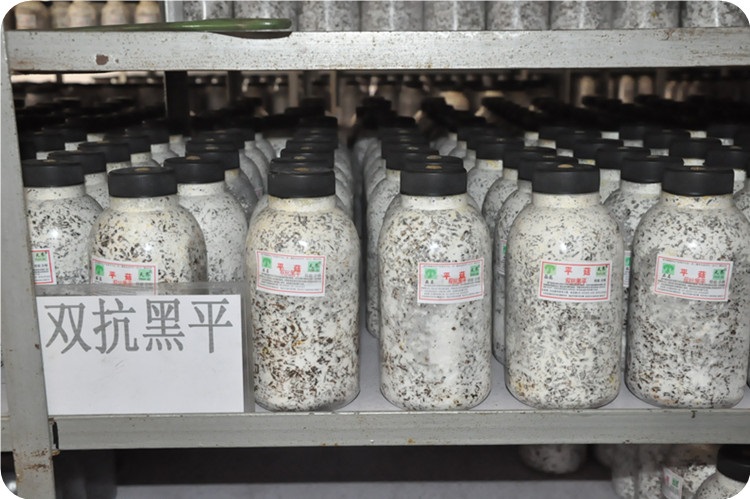 补硒社会痛点(补硒工程是什么)-硒宝网