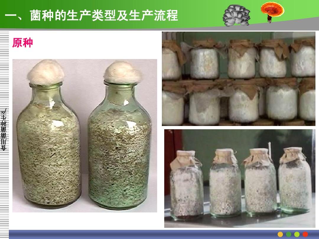 补硒社会痛点(补硒工程是什么)-硒宝网