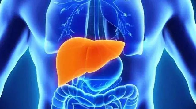 补硒的都有啥(补硒有副作用吗)-硒宝网