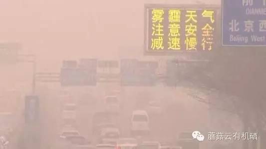 补硒的蔬菜表(蔬菜中的硒含量一般是多少)-硒宝网