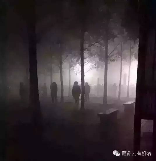 补硒的蔬菜表(蔬菜中的硒含量一般是多少)-硒宝网