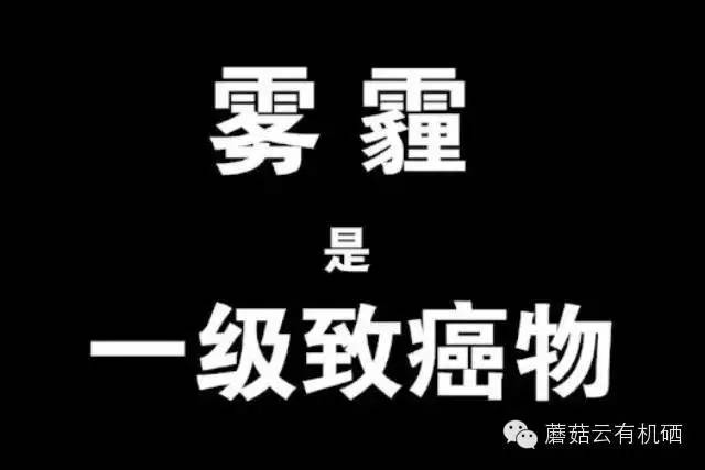补硒的蔬菜表(蔬菜中的硒含量一般是多少)-硒宝网