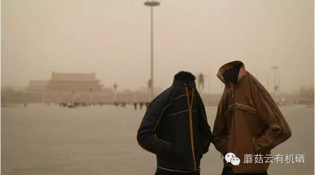 补硒的蔬菜表(蔬菜中的硒含量一般是多少)-硒宝网