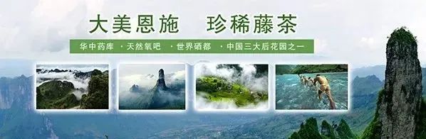 补硒健康歌词（补硒健康歌词）-硒宝网