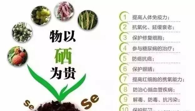 补硒健康歌词（补硒健康歌词）-硒宝网