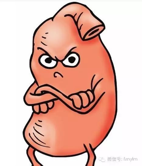 人每天要补硒（每天补硒人要多吃什么）-硒宝网