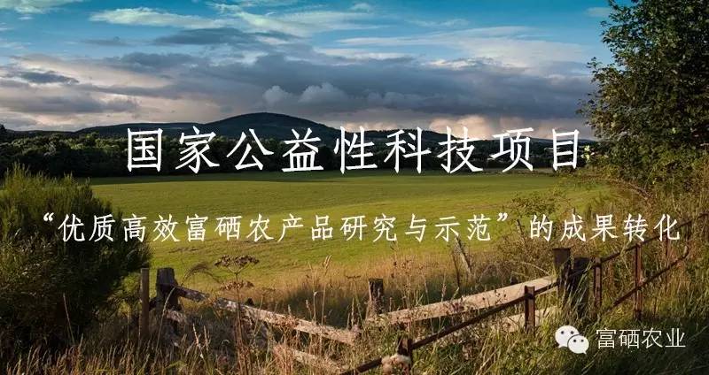 人每天要补硒（每天补硒人要多吃什么）-硒宝网