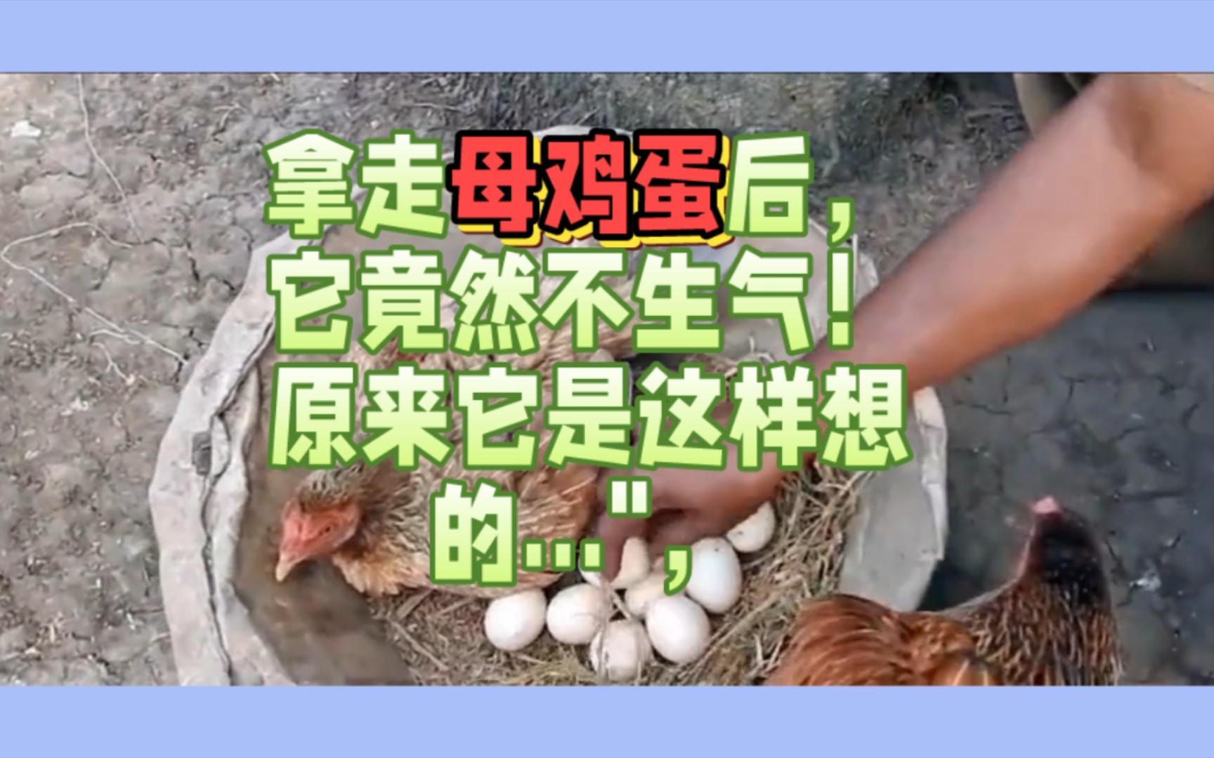 钟南山谈补硒（哪些品牌的补硒是有机硒）-硒宝网