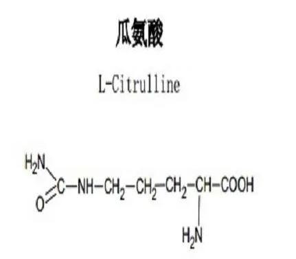 硒补剂精氨酸(补精氨酸吃什么药)-硒宝网