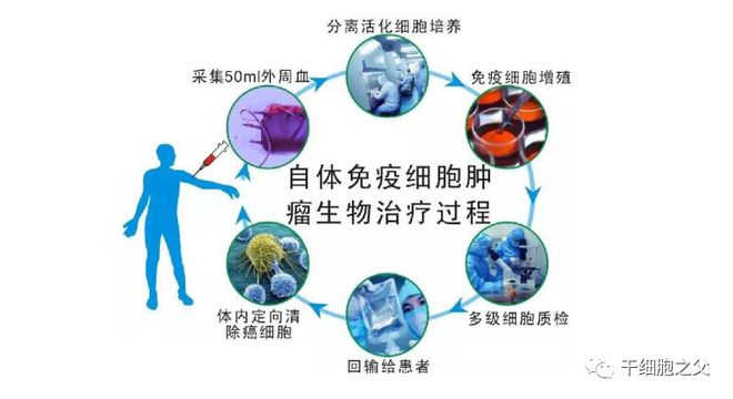 补充硒的补剂（补充硒）-硒宝网