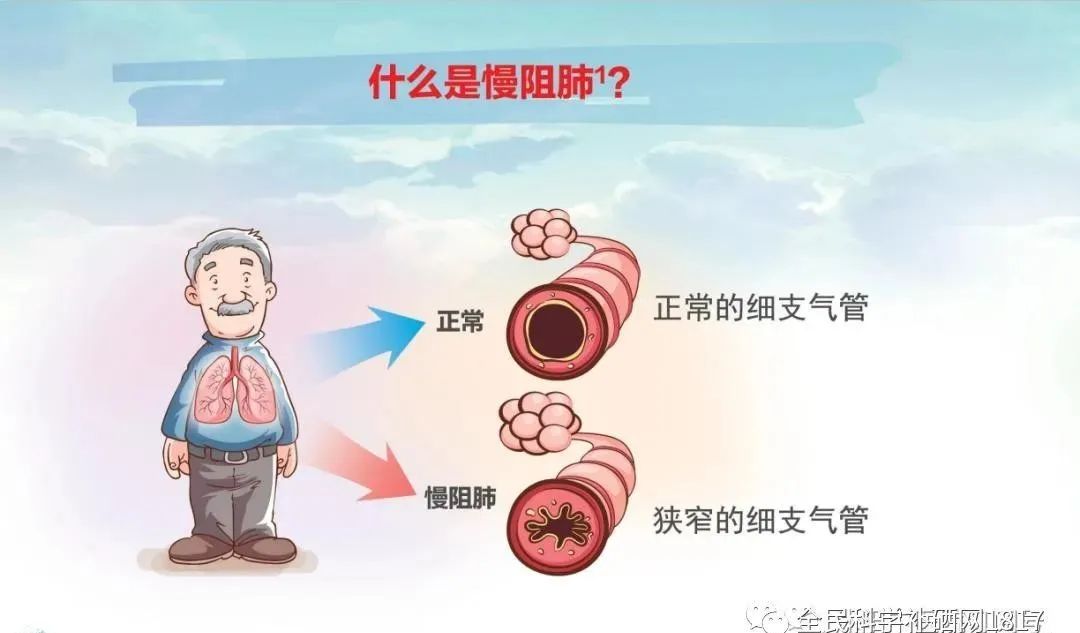 补硒会咳嗽吗（硒与咳嗽）-硒宝网