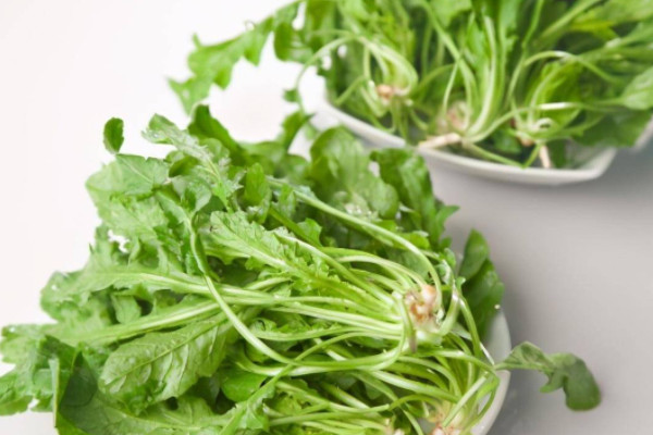 食道癌 补硒(癌症补硒)-硒宝网