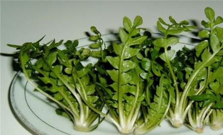 食道癌 补硒(癌症补硒)-硒宝网