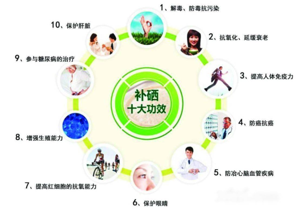 如何保锌补硒（补硒补锌硒片锌硒宝片）-硒宝网