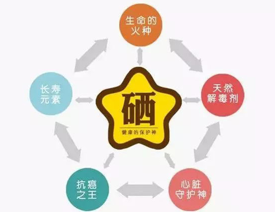 如何保锌补硒（补硒补锌硒片锌硒宝片）-硒宝网
