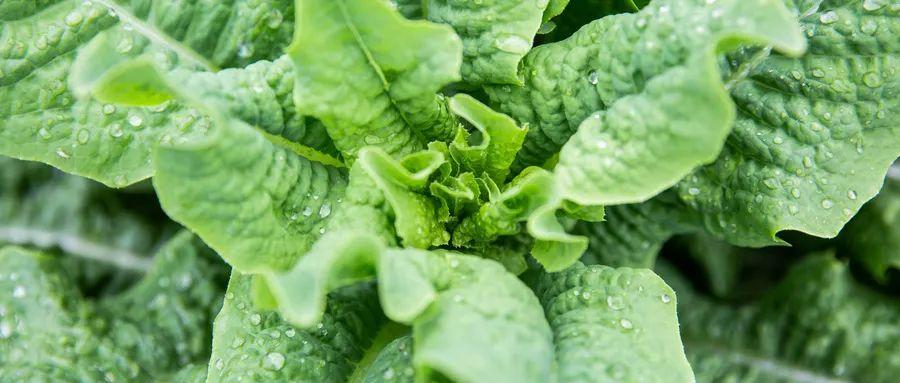 化疗能补硒吗(化疗病人补硒有效果吗)-硒宝网