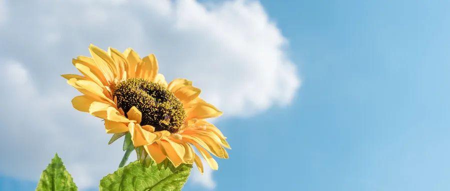 化疗能补硒吗(化疗病人补硒有效果吗)-硒宝网