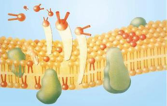 预防癌变补硒（补硒预防癌症无效）-硒宝网