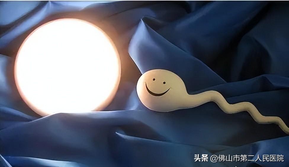 补钾硒能精子（弱精补硒）-硒宝网