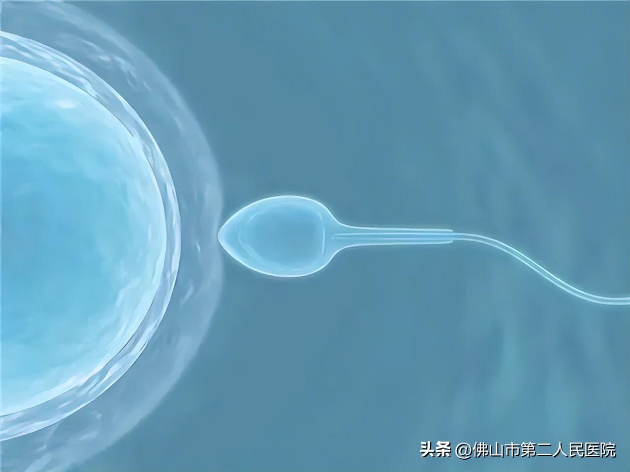 补钾硒能精子（弱精补硒）-硒宝网