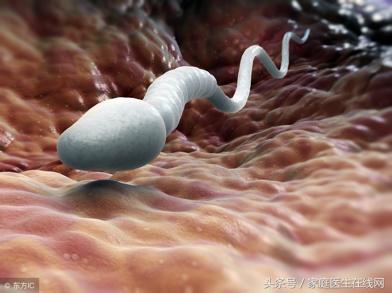 补钾硒能精子（补硒可以提高男性性功能）-硒宝网