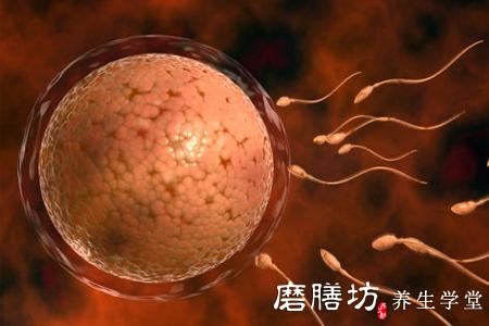 补钾硒能精子(硒能够补肾吗)-硒宝网