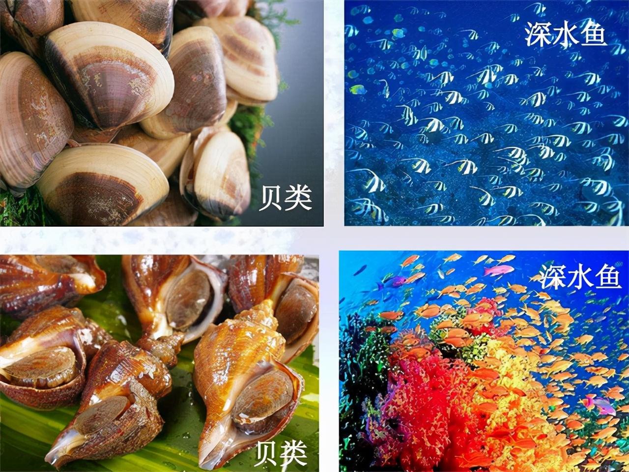 补硒碘的水果(补充碘的水果)-硒宝网