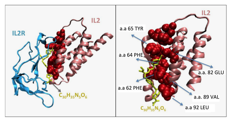 羊需要补硒吗(羊补硒用什么药了)-硒宝网