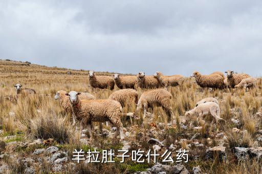 小羊羔补硒药（羔羊补硒的用量）-硒宝网