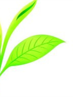 红茶能补硒吗（普通红茶有硒元素吗）-硒宝网