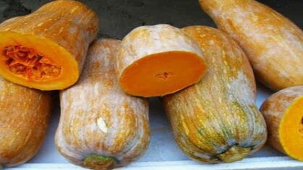 锌和硒怎么补（锌硒咀嚼片补精吗）-硒宝网