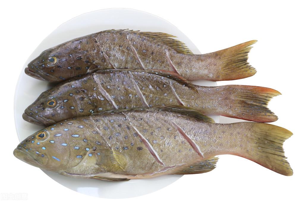 吃啥补硒好处（补充硒有副作用吗）-硒宝网