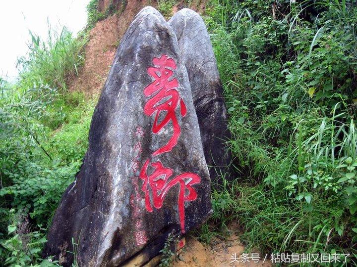 硒片补硒贵吗（硒片补硒）-硒宝网