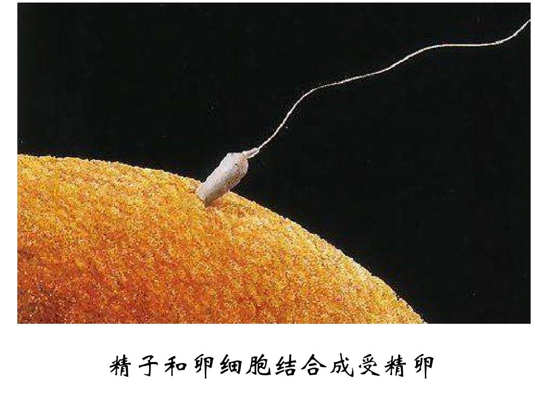 孕期要补硒吗(怀孕补硒)-硒宝网