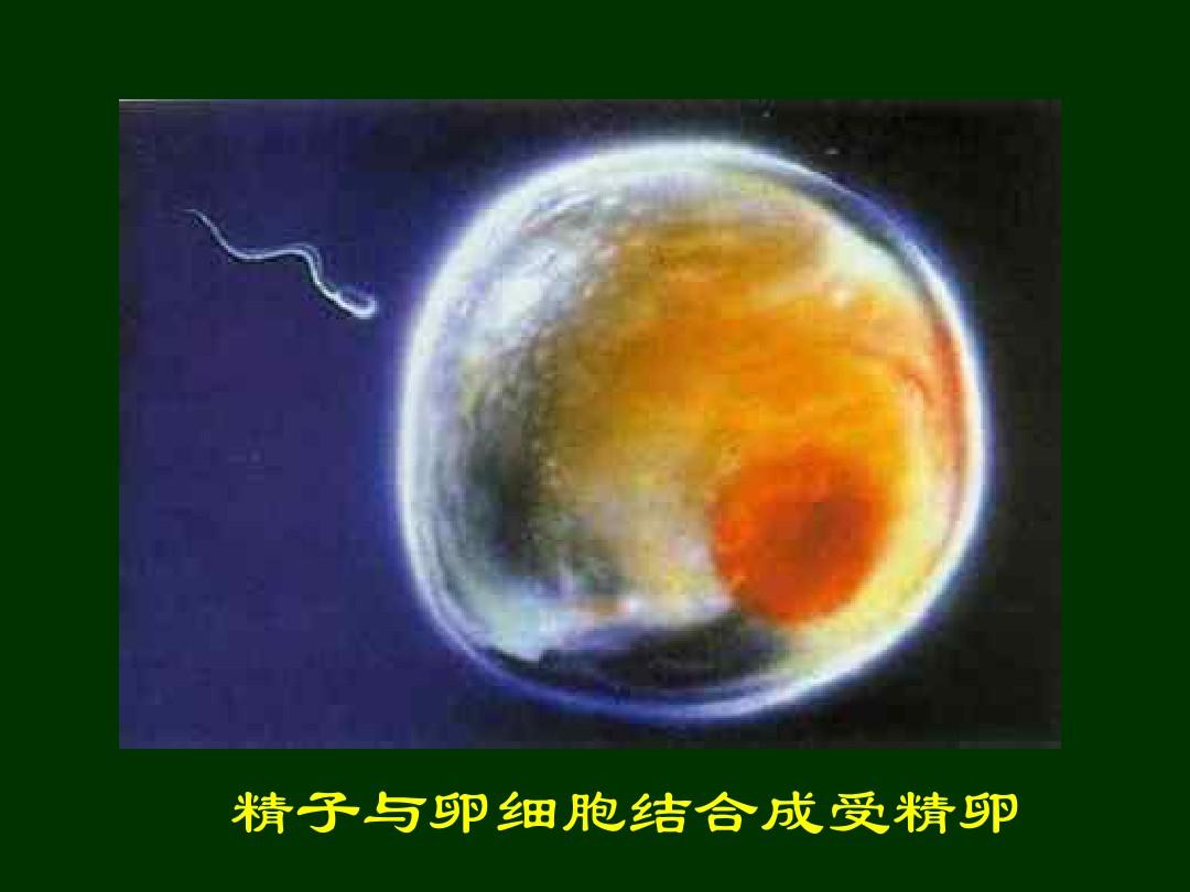 孕期要补硒吗(怀孕补硒)-硒宝网